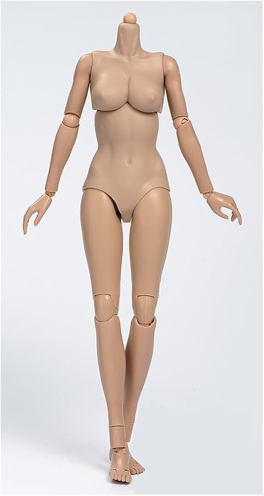 可動式人体模型 約1/2スケール Amazon.co.jp: 女性 リアル 人体 フィギュア 1/6スケール (ブラック